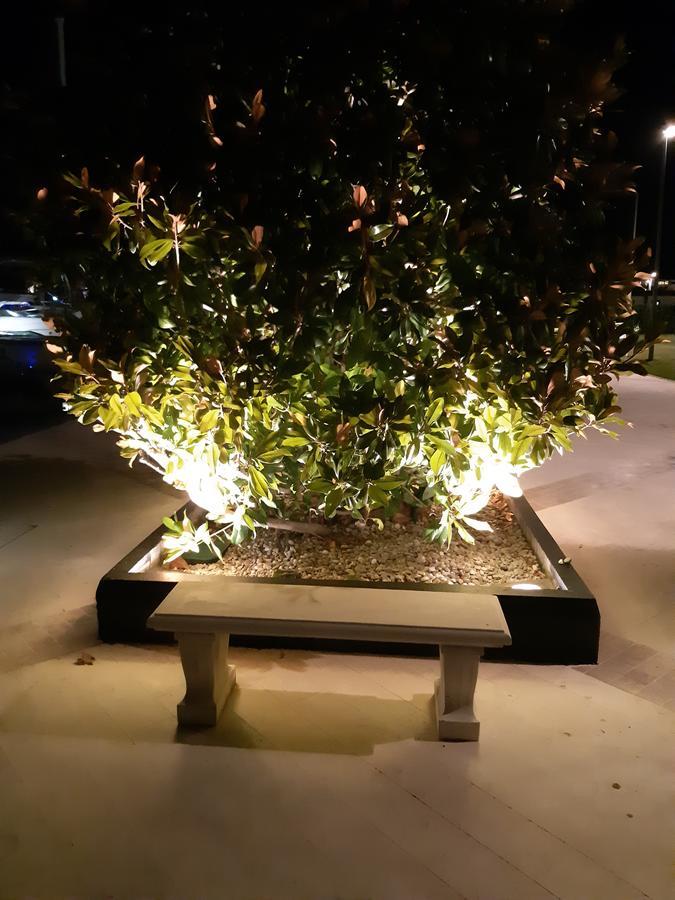 Apartments Ceca Tivat Dış mekan fotoğraf